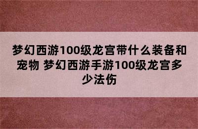 梦幻西游100级龙宫带什么装备和宠物 梦幻西游手游100级龙宫多少法伤